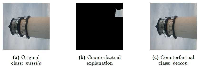 Image counterfactual examples